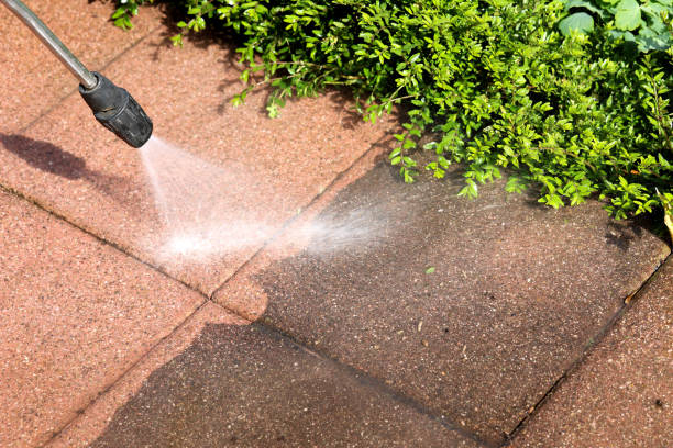 Best Exterior Home Cleaning  in Upper Lake, CA